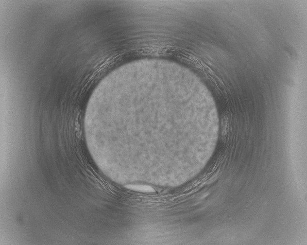 X0000115531202200912181520