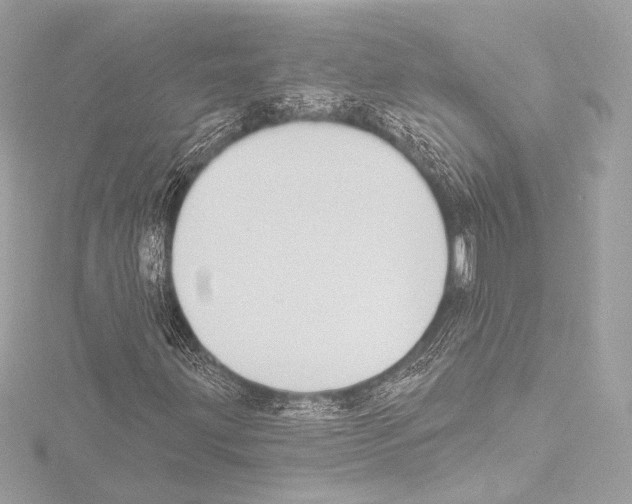 X0000115531203200912181520