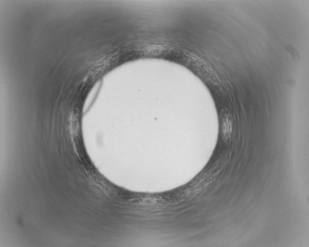 X0000115531204200912181520