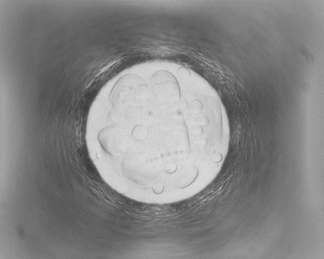 X0000115531205200912181520