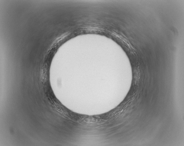 X0000115531207200912181520