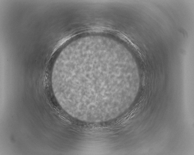 X0000115531208200912181520