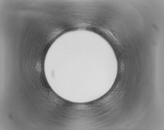 X0000115531209200912181520