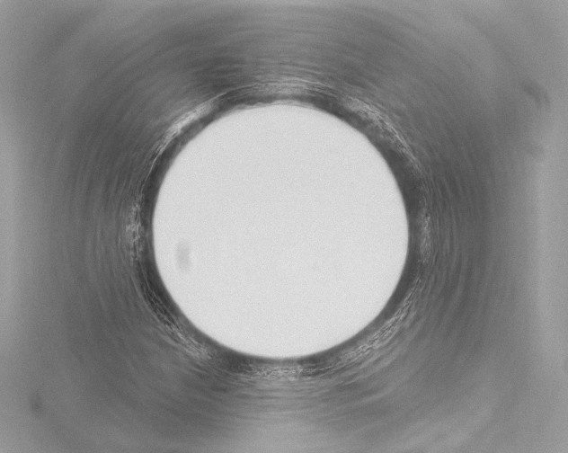 X0000115531210200912181520