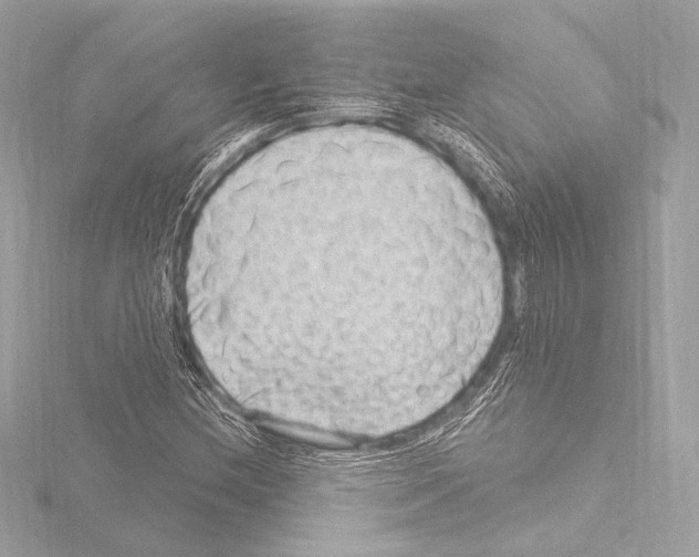 X0000115531212200912181520