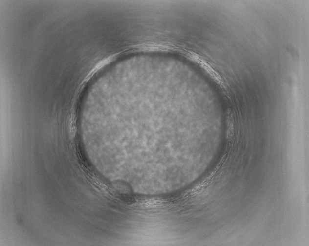 X0000115531213200912181520