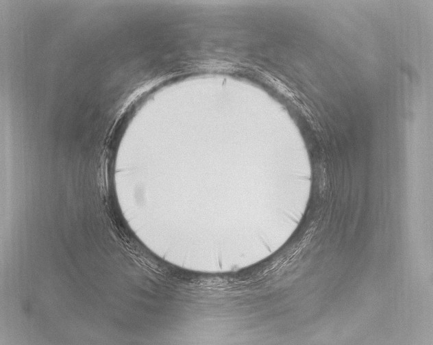 X0000115531214200912181520