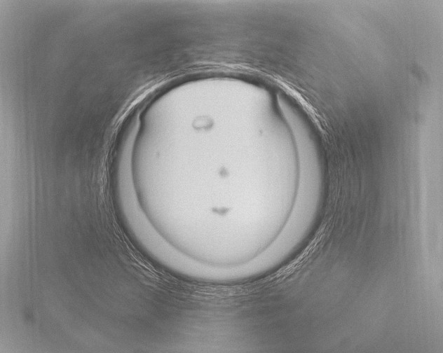 X0000115531215200912181520