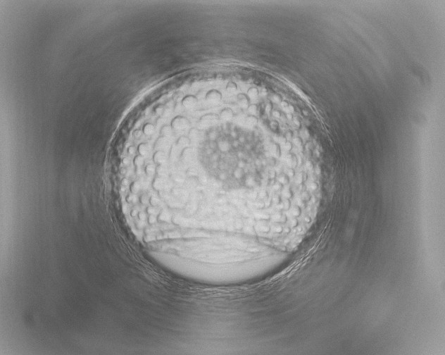 X0000115531216200912181520