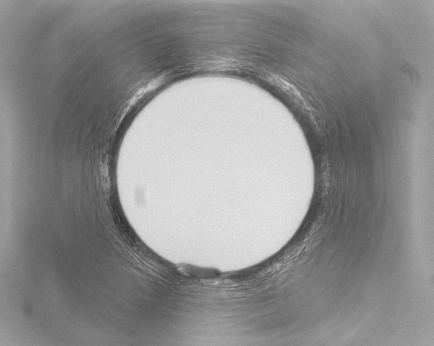 X0000115531218200912181520