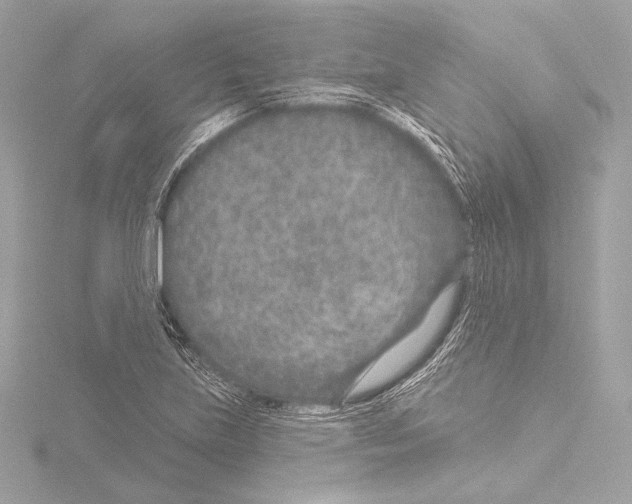 X0000115531219200912181520