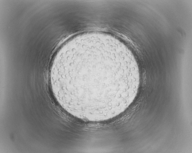 X0000115531220200912181520