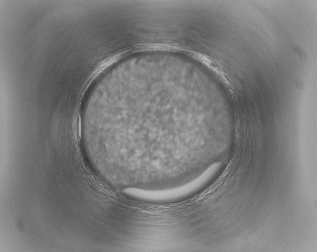 X0000115531221200912181520