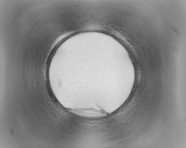 X0000115531222200912181520