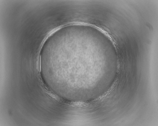 X0000115531223200912181520