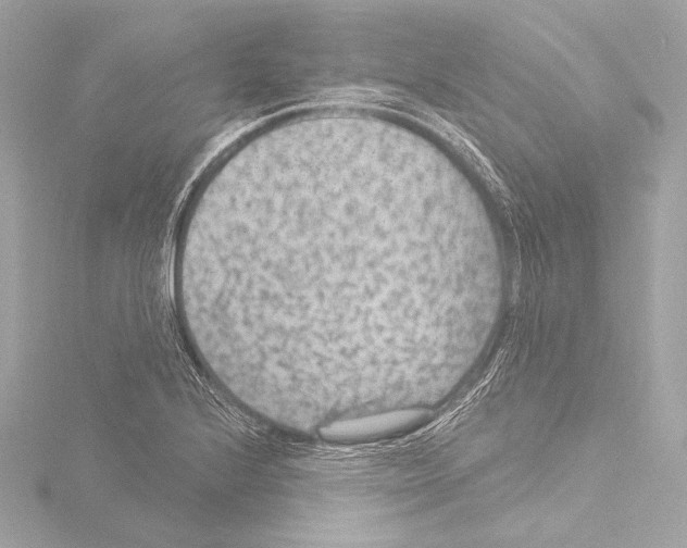 X0000115531224200912181520