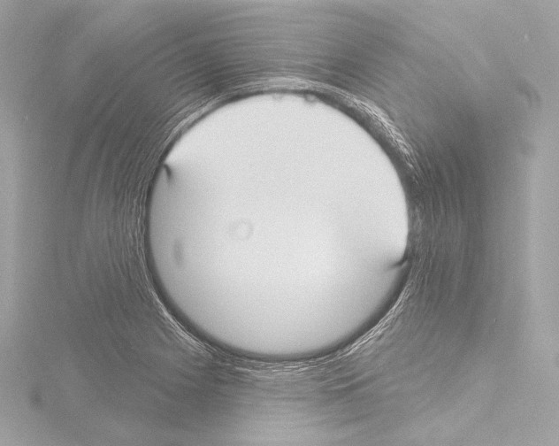 X0000115531225200912181520