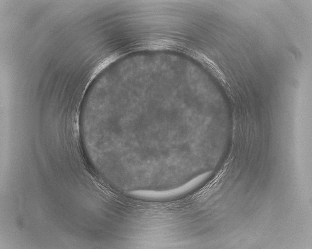 X0000115531226200912181520