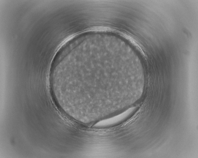 X0000115531229200912181520