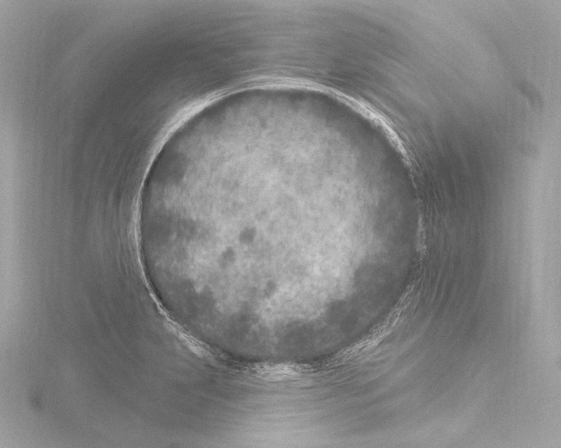 X0000115531231200912181520