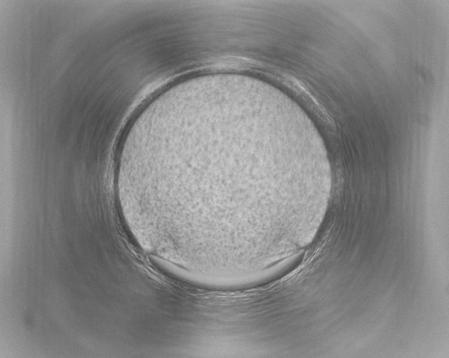 X0000115531232200912181520