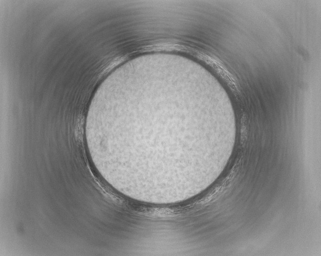 X0000115531233200912181520