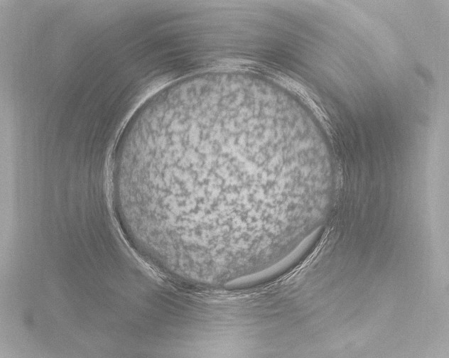 X0000115531235200912181520