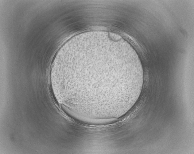 X0000115531236200912181520