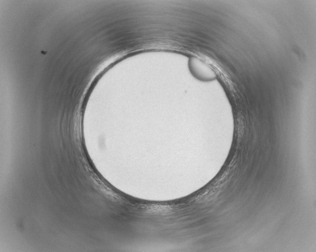 X0000115531238200912181520