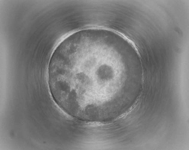 X0000115531239200912181520