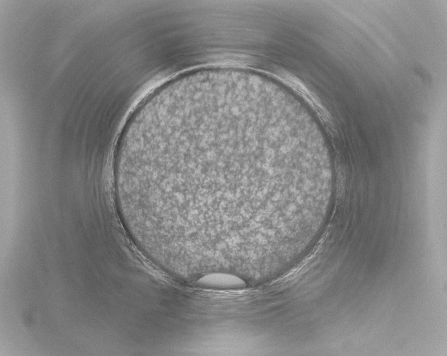 X0000115531240200912181520