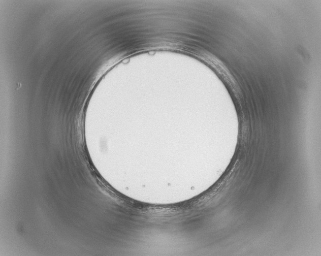 X0000115531242200912181520