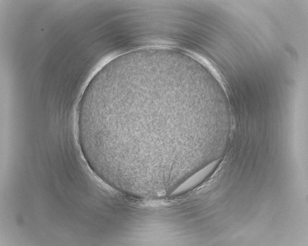 X0000115531243200912181520