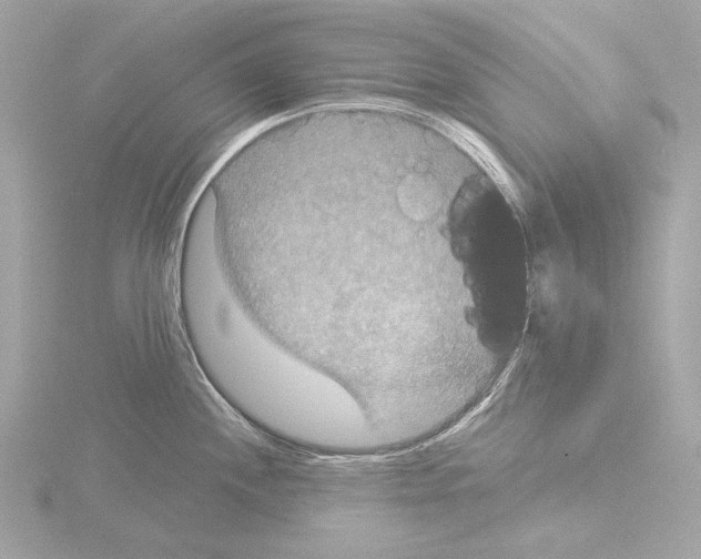 X0000115531244200912181520