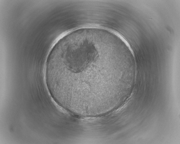 X0000115531245200912181520