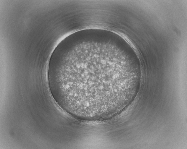 X0000115531246200912181520