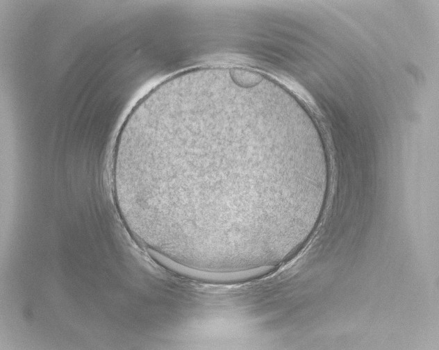 X0000115531248200912181520