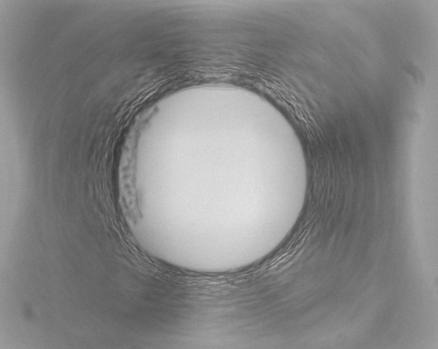 X0000115531249200912181520