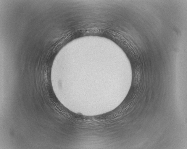 X0000115531250200912181520