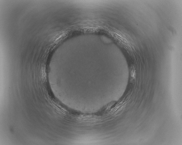 X0000115531252200912181520