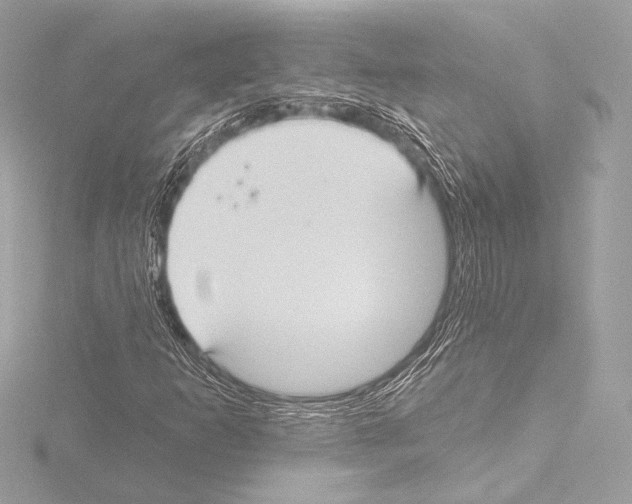 X0000115531253200912181520