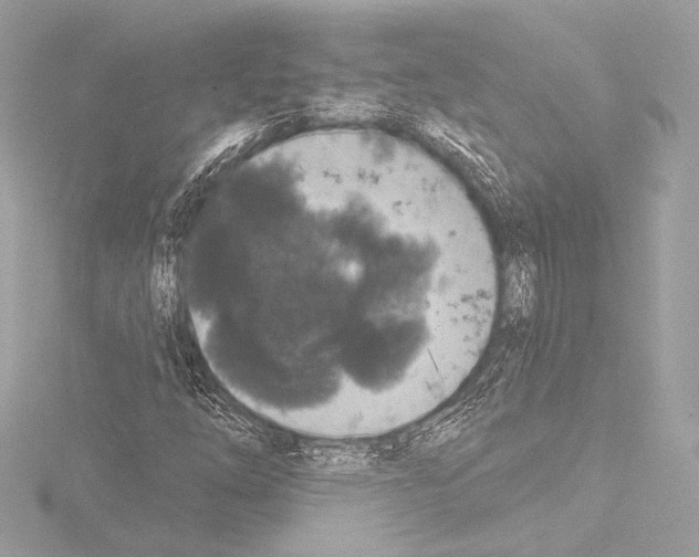 X0000115531254200912181520