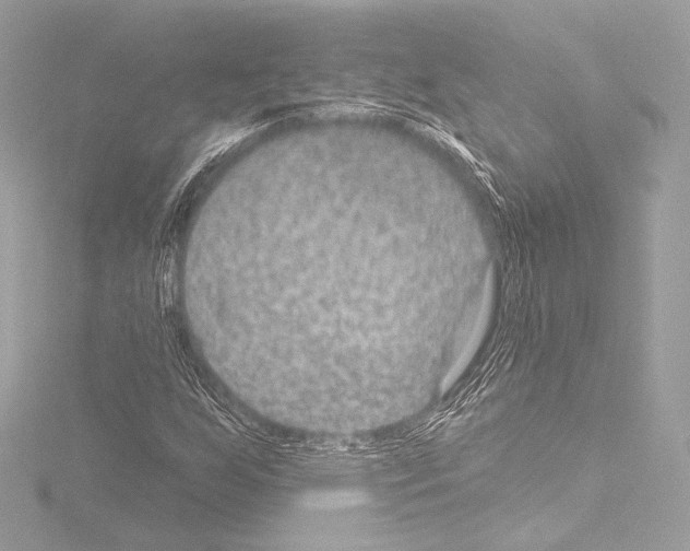 X0000115531255200912181520