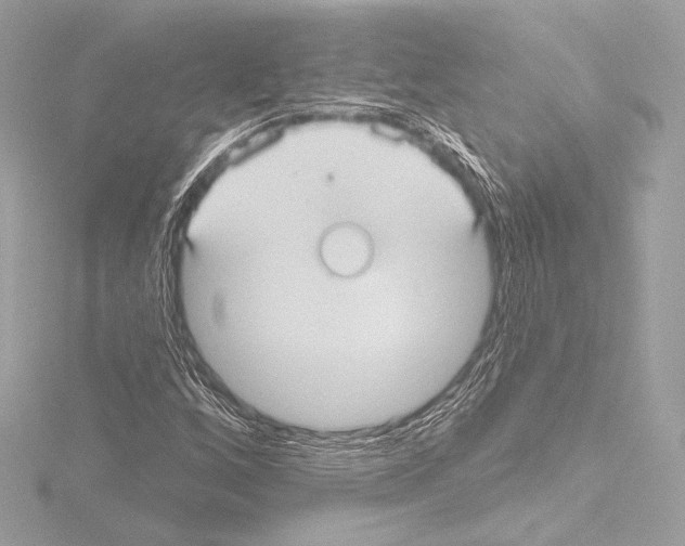 X0000115531256200912181520