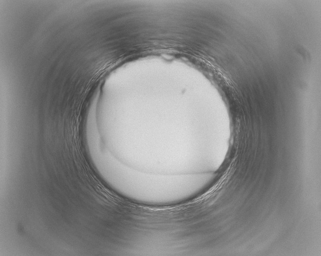 X0000115531257200912181520