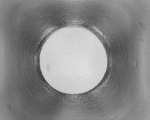 X0000115531259200912181520