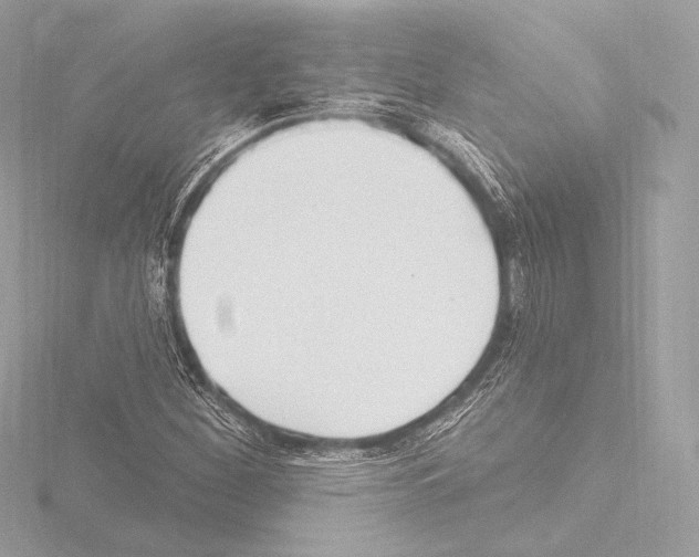 X0000115531260200912181520