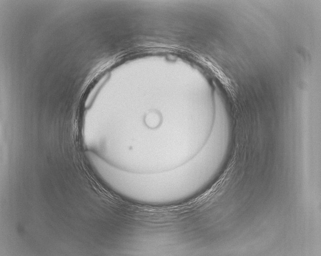 X0000115531261200912181520