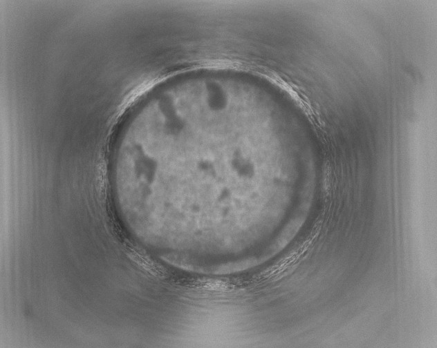 X0000115531263200912181519