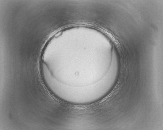 X0000115531264200912181519